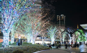 illumination in tokyo