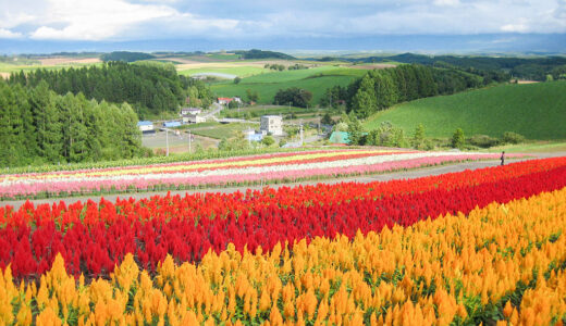 富良野・美瑛