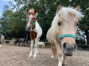 渋川動物園