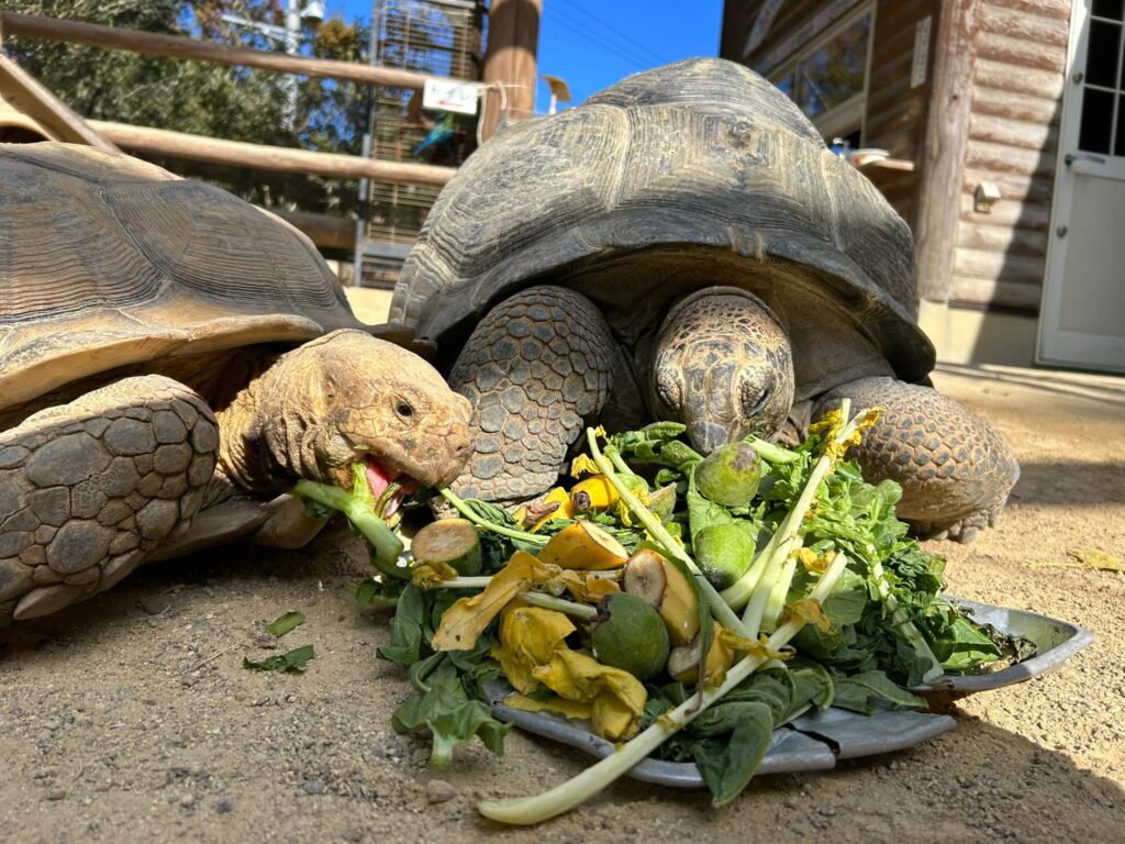 渋川動物公園 