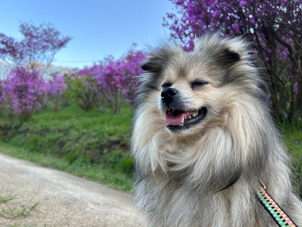 渋川動物公園