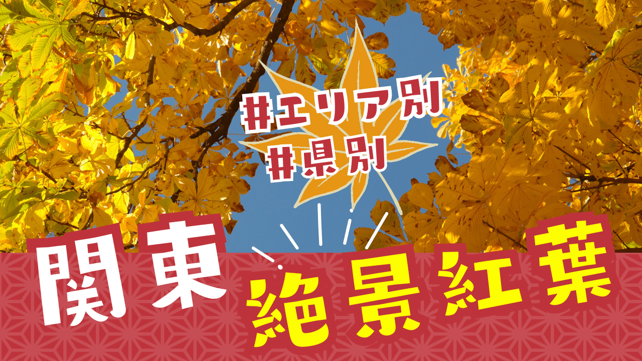 js逆さ撮り   2018 