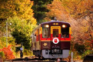 関東　紅葉　鉄道