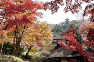 関東　紅葉　お寺あ