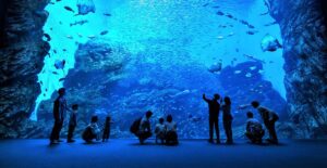 仙台　観光　水族館