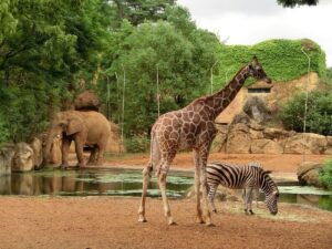 仙台　観光 動物園