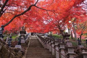 関東　紅葉　お寺