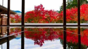 関東　紅葉　お寺