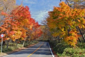 関東　紅葉　日塩もみじライン