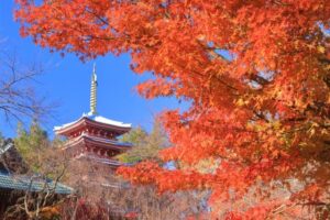 関東　紅葉　　本土寺