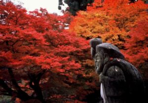 関東　紅葉　お寺