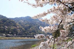 渡月橋　嵐山　観光