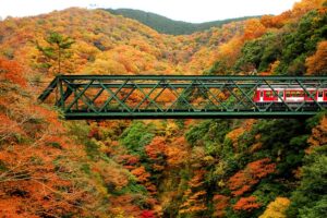 関東　紅葉　箱根　鉄道