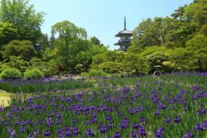 仙台　観光　輪王寺