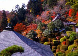 関東　紅葉　お寺