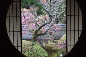 京都　窓　寺院