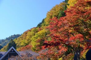 関東　紅葉　高尾山