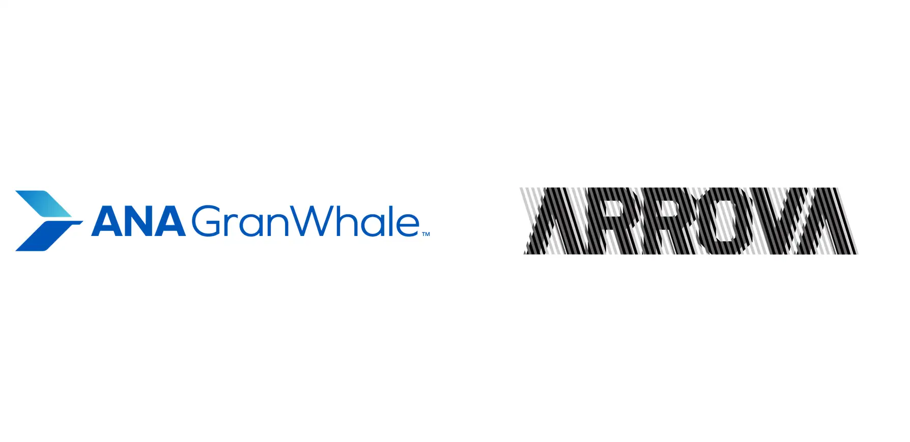 ANA GranWhale