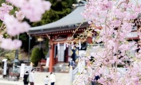 大山阿夫利神社