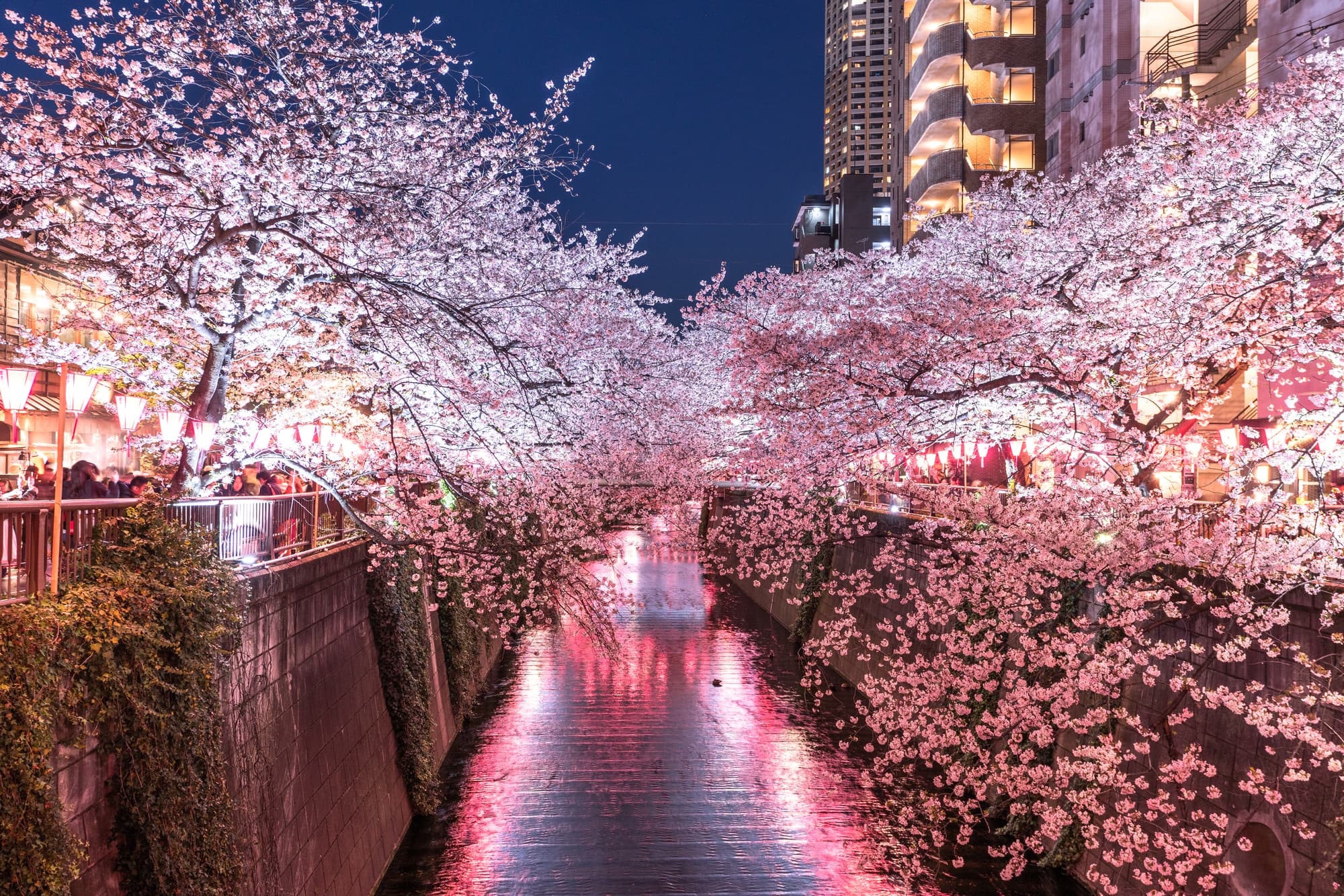 目黒川