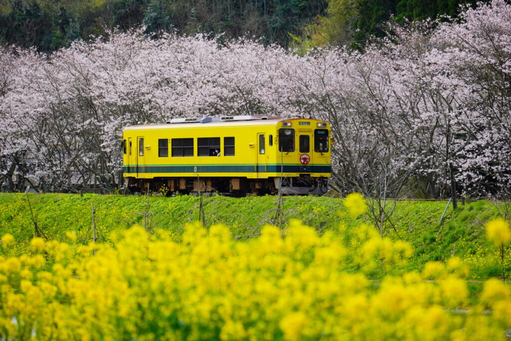 いすみ鉄道