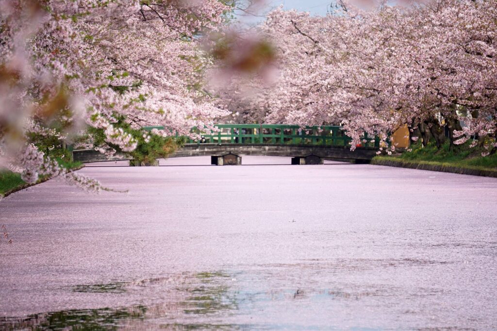 弘前公園