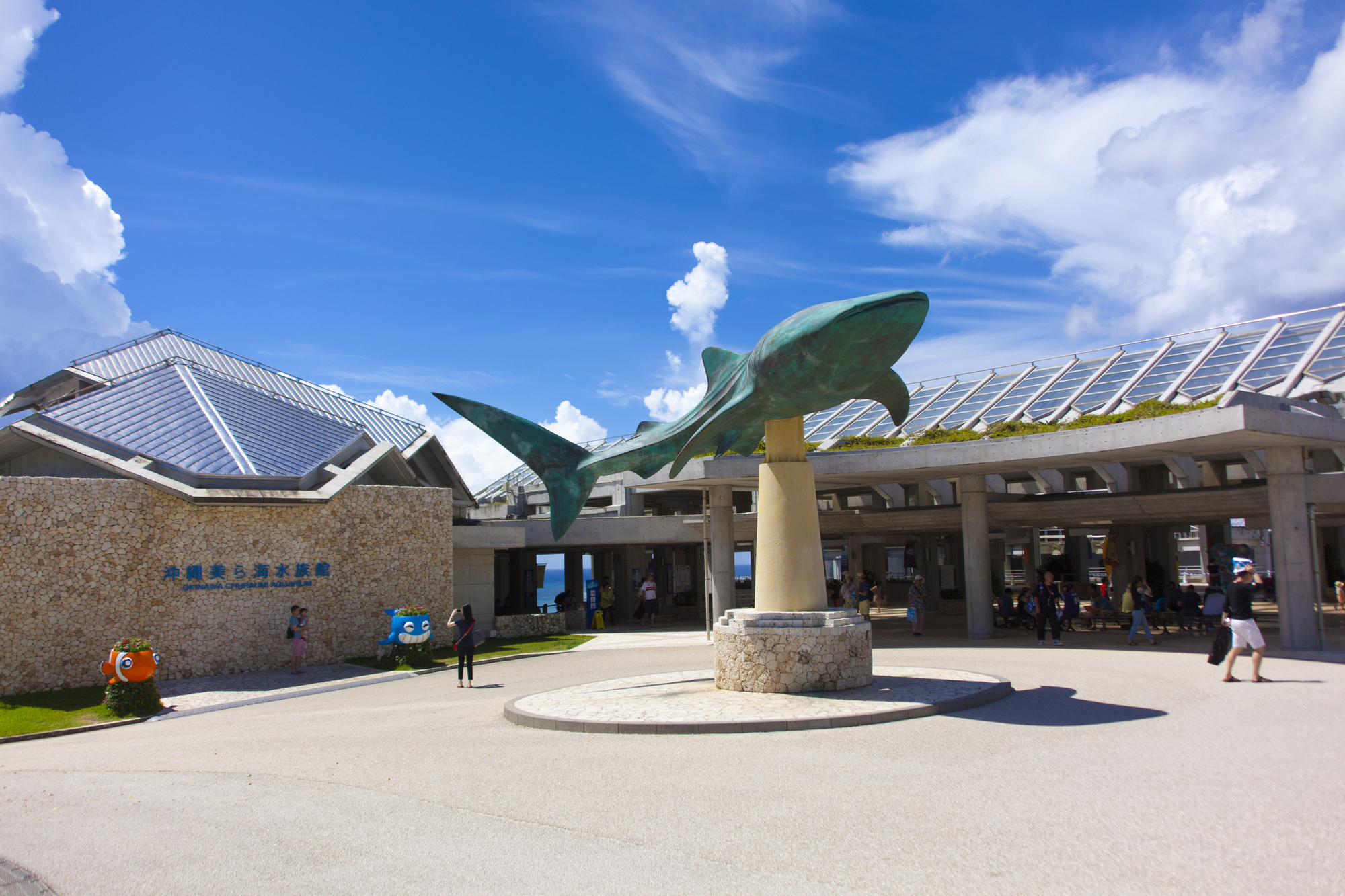 美ら海水族館