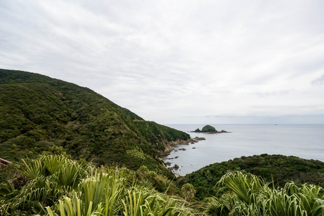佐多岬