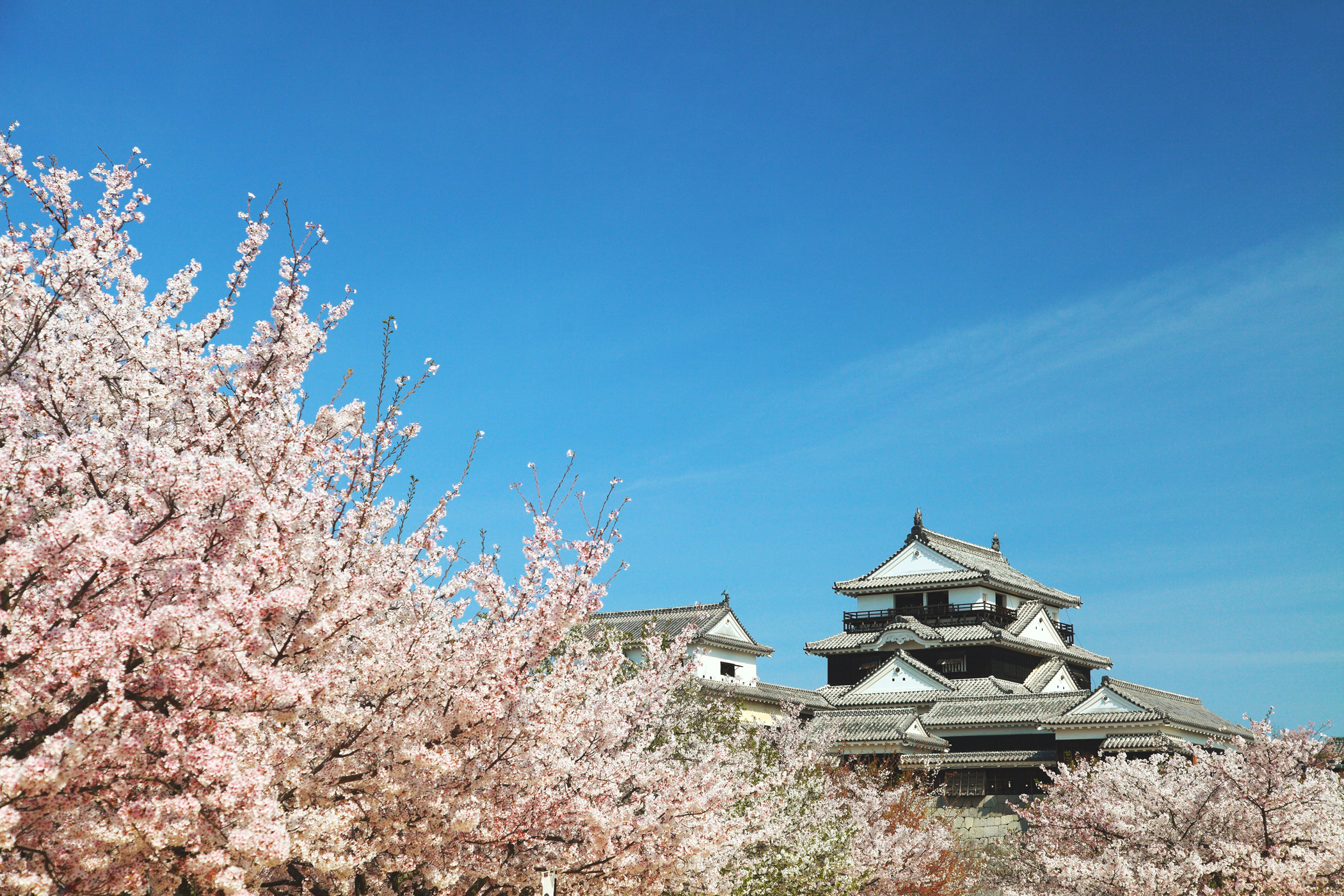 松山城