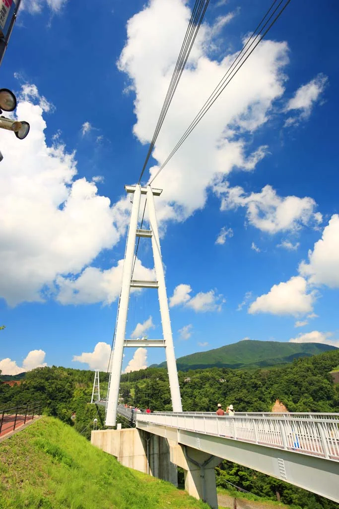 九重夢大吊橋